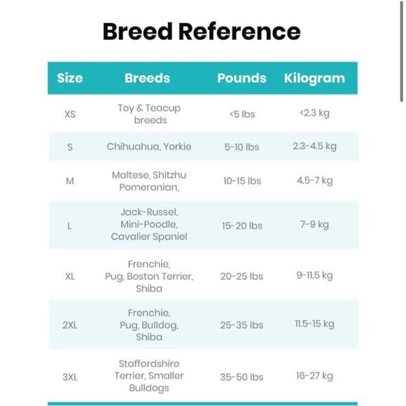 Dog jacket. Size small - Picture 4 of 4